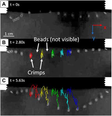 Toward a 3D physical model of diffusive polymer chains